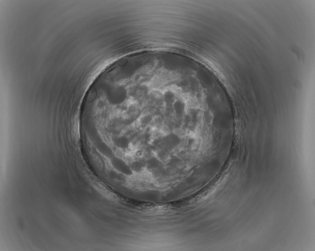 X0000113250891200910011344