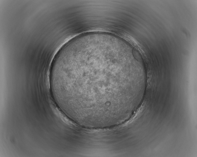 X0000113250892200910011344