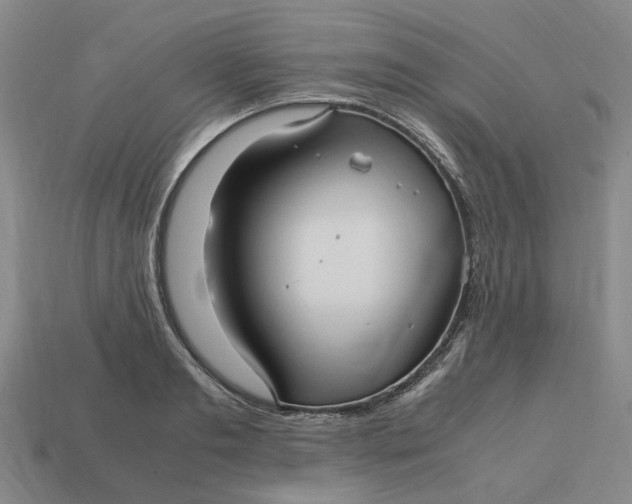 X0000113250893200910011344