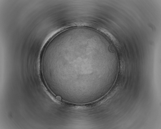 X0000113250894200910011344