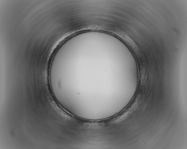 X0000113250896200910011344