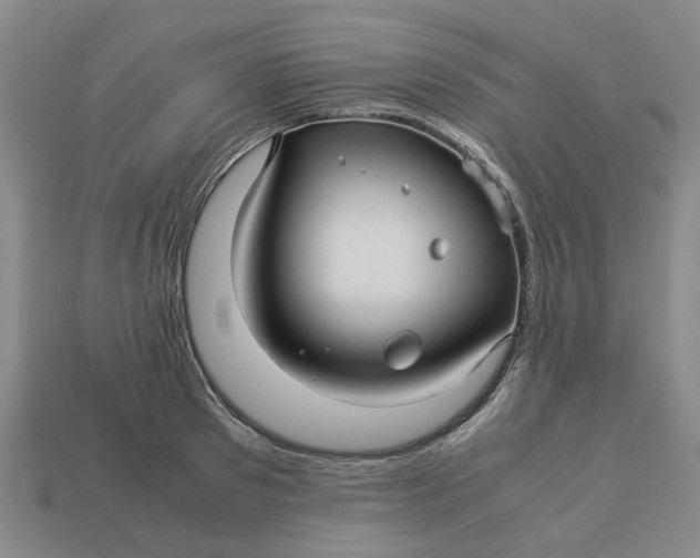 X0000113250897200910011344