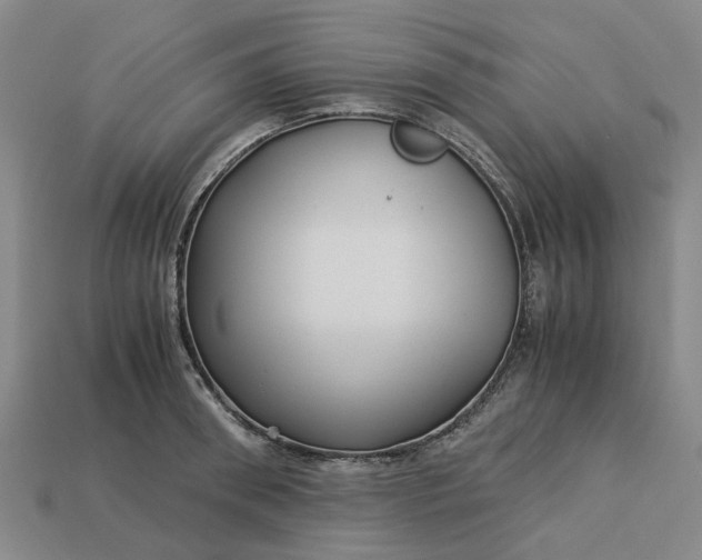 X0000113250898200910011344