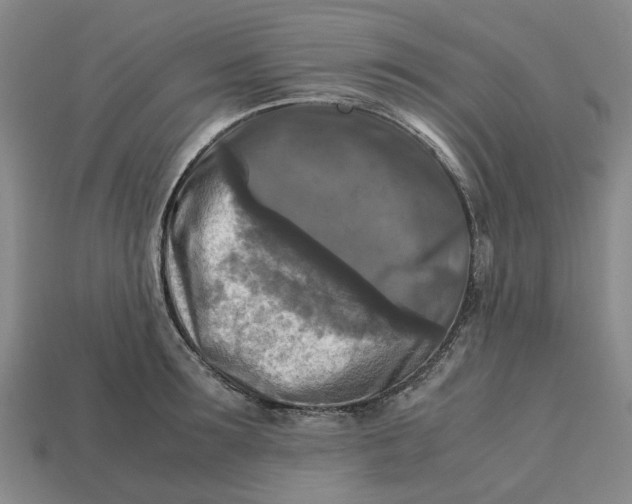 X0000113250899200910011344