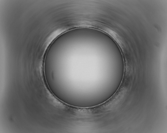 X0000113250901200910011344