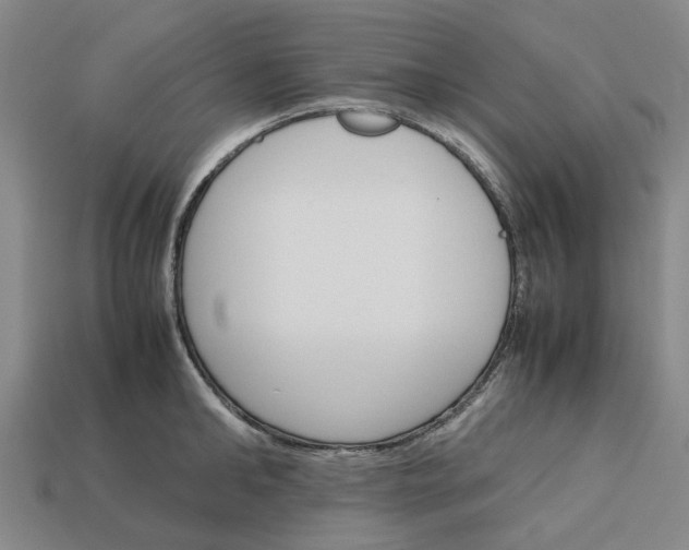 X0000113250902200910011344