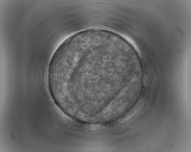 X0000113250903200910011344