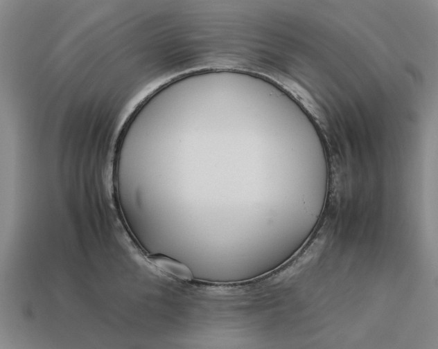 X0000113250904200910011344