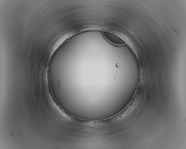 X0000113250906200910011344