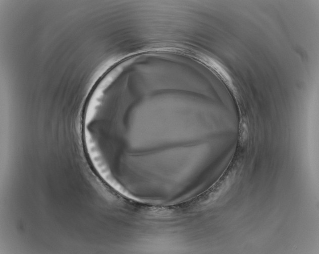 X0000113250907200910011344