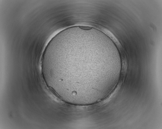 X0000113250908200910011344