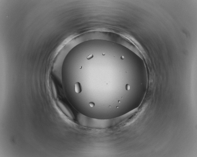 X0000113250909200910011344