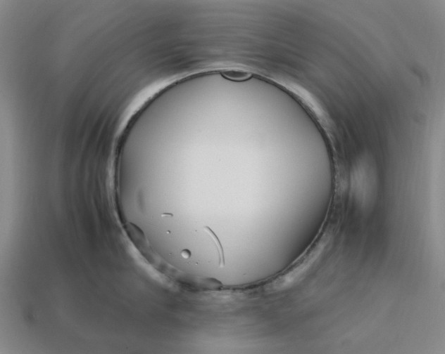 X0000113250910200910011344