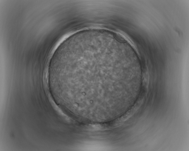 X0000113250911200910011344