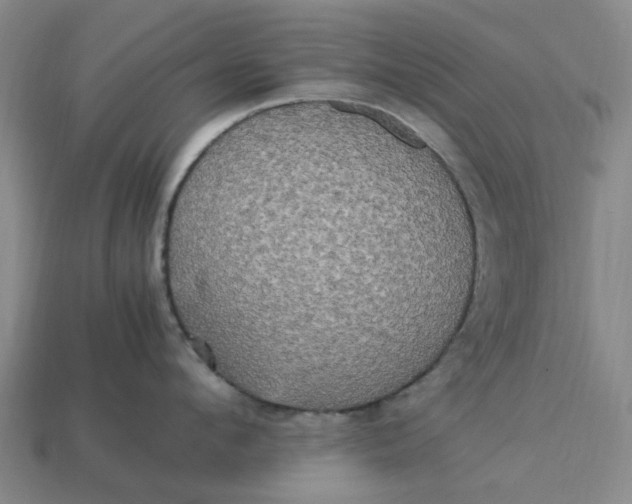 X0000113250912200910011344