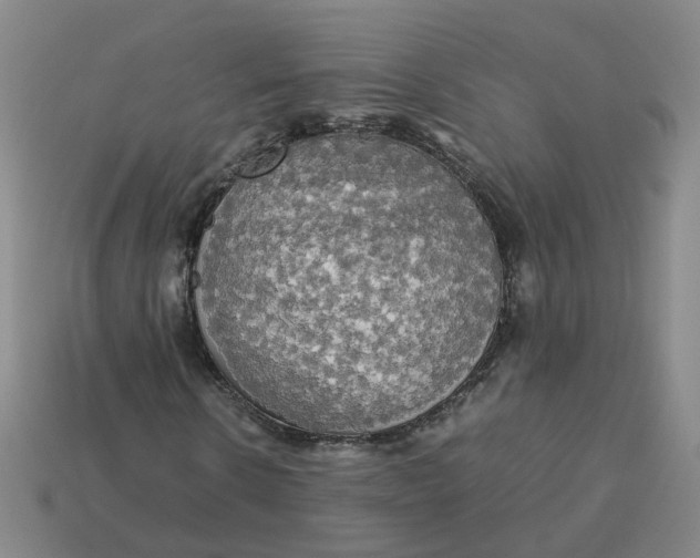 X0000113250914200910011343