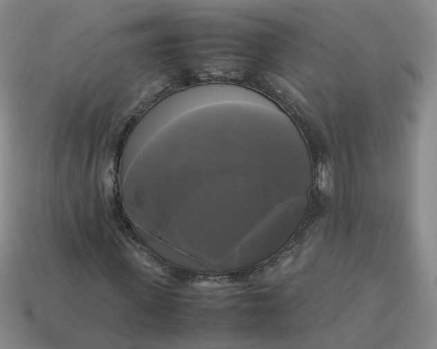 X0000113250915200910011343