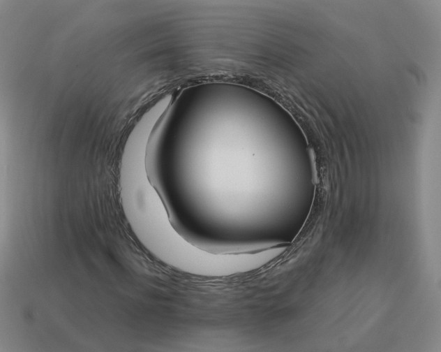 X0000113250916200910011343