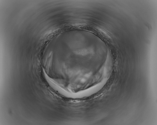 X0000113250917200910011343