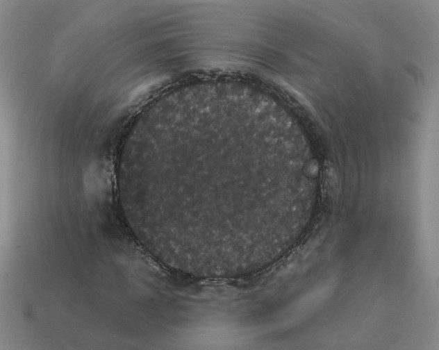 X0000113250918200910011343