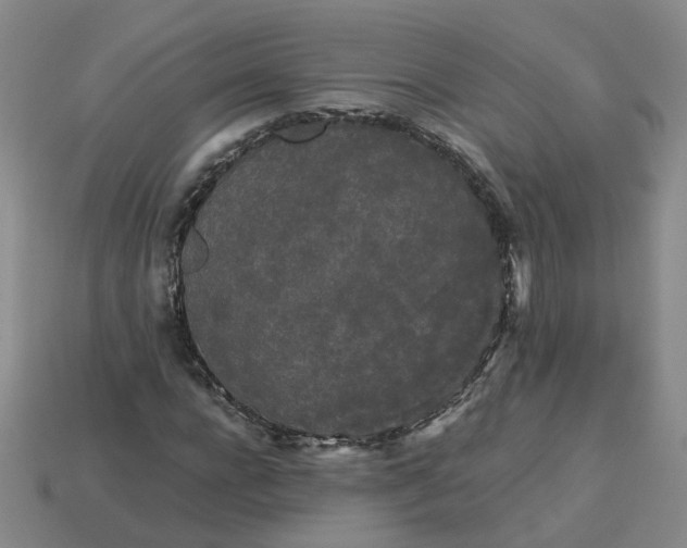 X0000113250920200910011343