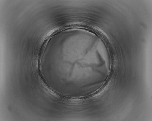 X0000113250921200910011343