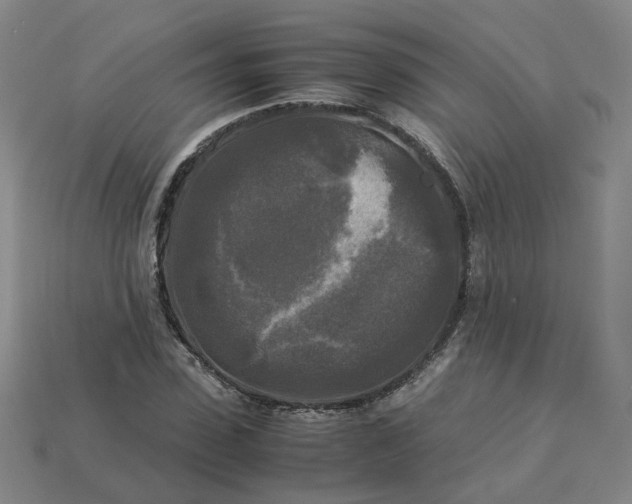 X0000113250923200910011343