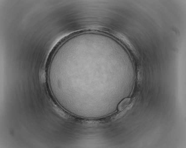 X0000113250924200910011343