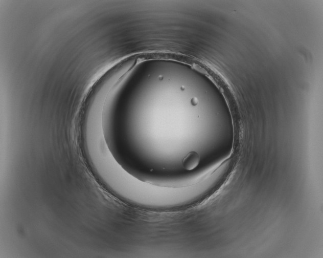 X0000113250925200910011343