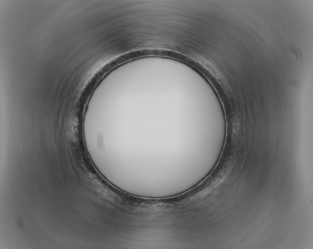 X0000113250926200910011343