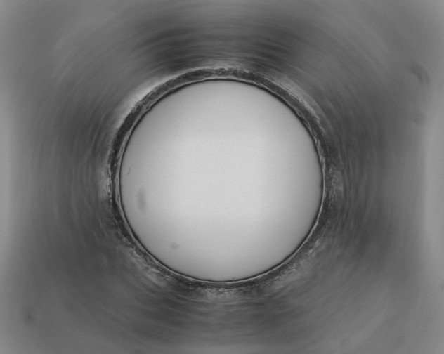 X0000113250927200910011343