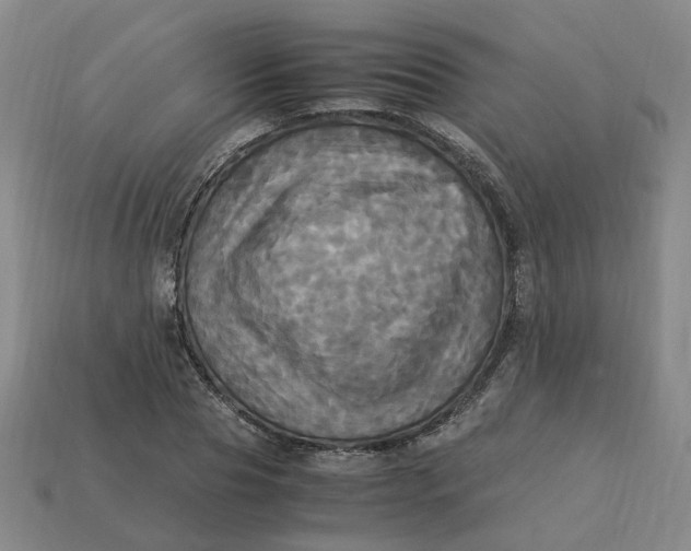 X0000113250929200910011343