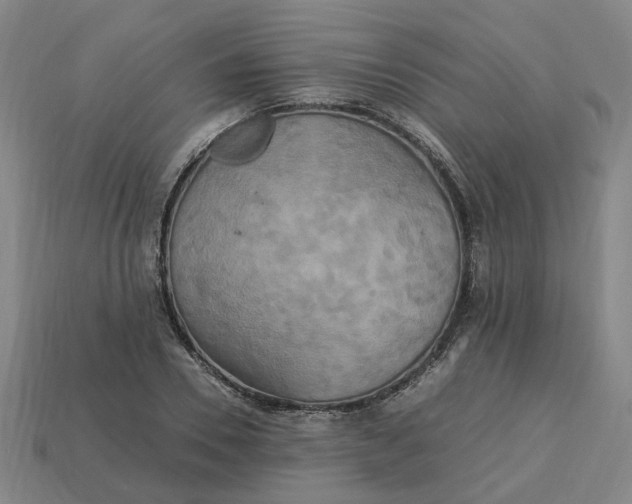 X0000113250930200910011343