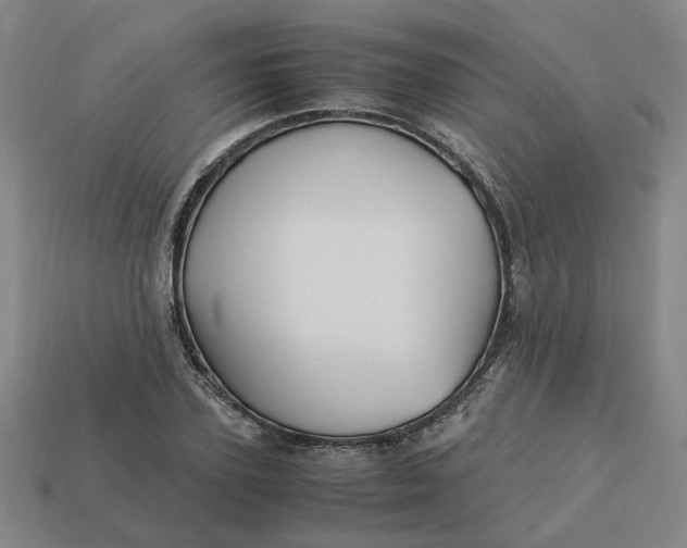 X0000113250931200910011343