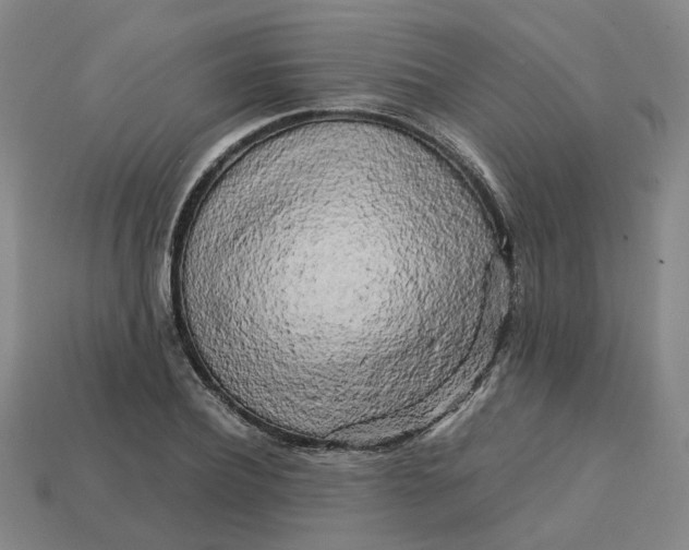 X0000113250932200910011343