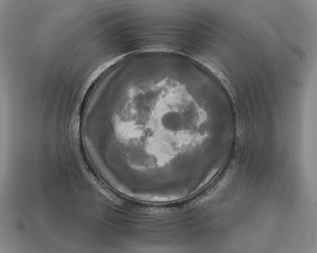 X0000113250933200910011343