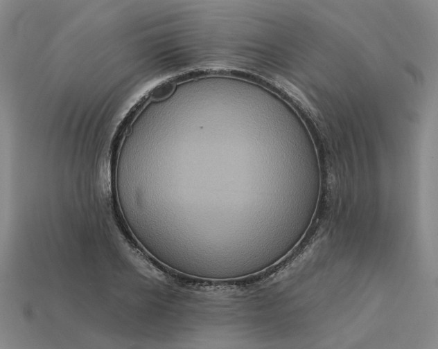 X0000113250934200910011343