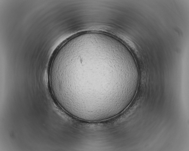 X0000113250936200910011343