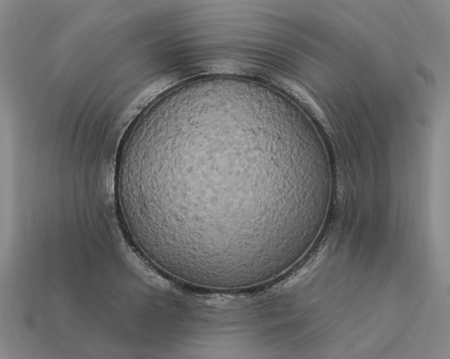 X0000113250938200910011343