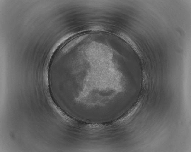 X0000113250939200910011343