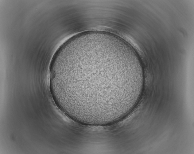 X0000113250940200910011343