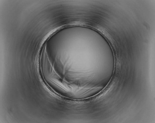 X0000113250941200910011343