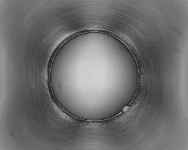 X0000113250942200910011343