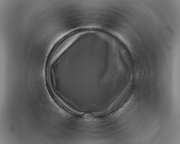 X0000113250943200910011343