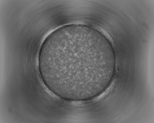 X0000113250944200910011343