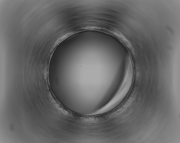 X0000113250945200910011343