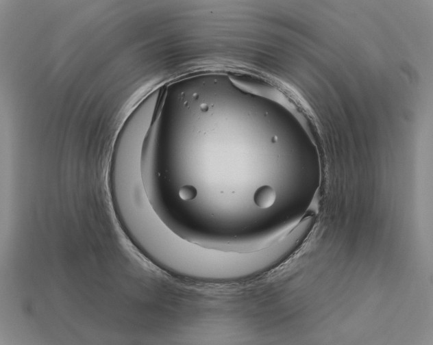 X0000113250946200910011343