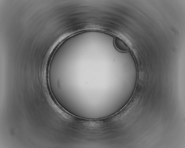 X0000113250947200910011343