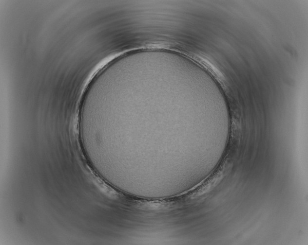 X0000113250948200910011343