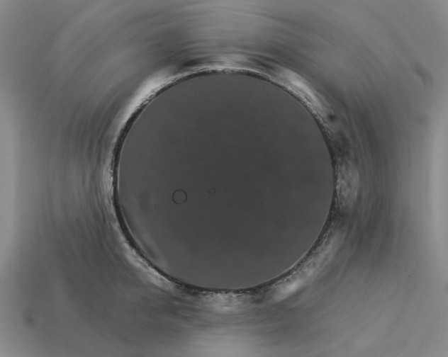 X0000113250950200910011343